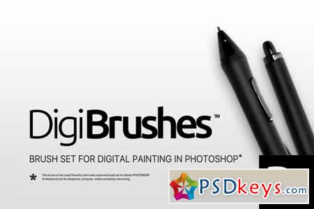 RM Digi Brushes 17592