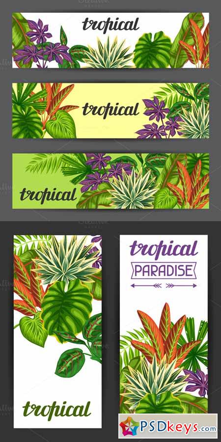 Banners with tropical plants 624538