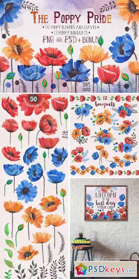 Watercolor Poppy Flowers 330939