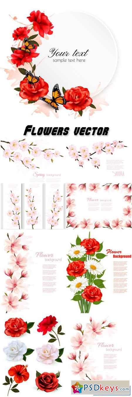 Flowers vector, roses, daisies, cherry, magnolia