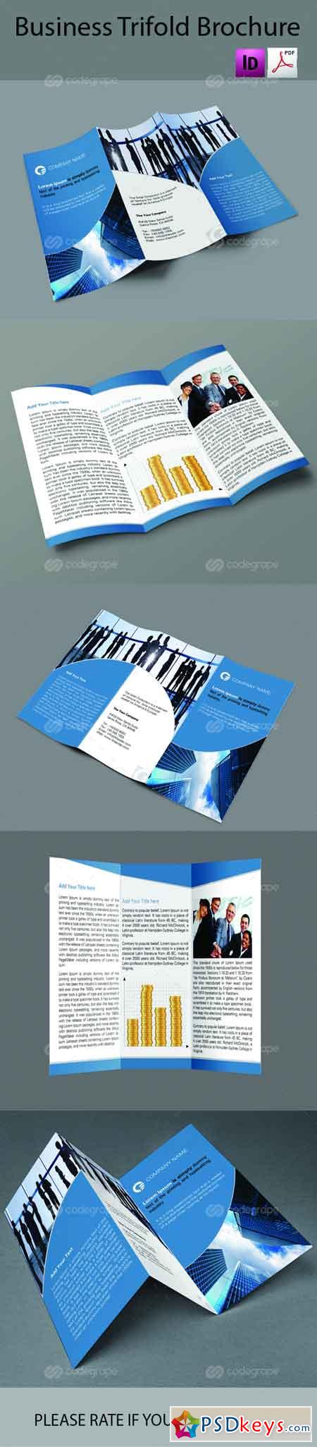 Business Tri Fold Brochure 6282