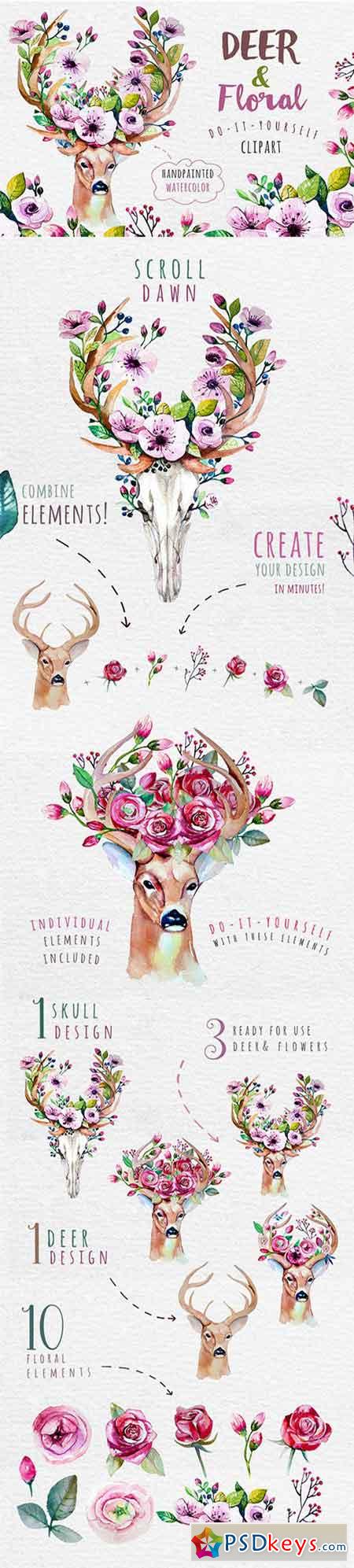 Deer, skull & floral 334111