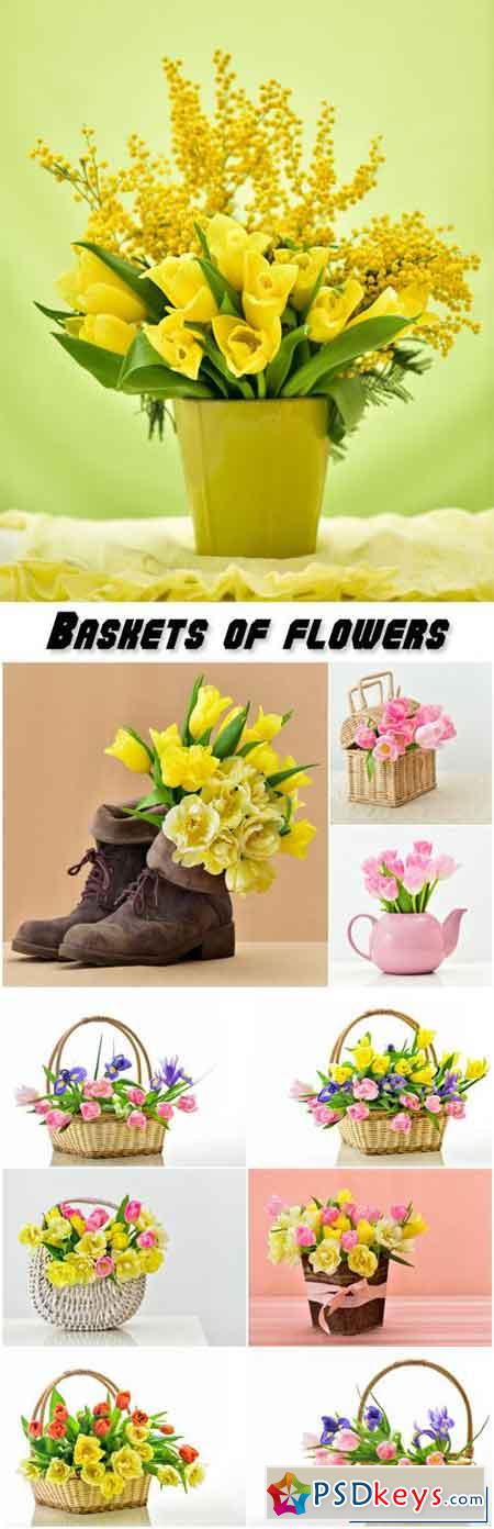 Baskets of flowers, tulips, mimosa