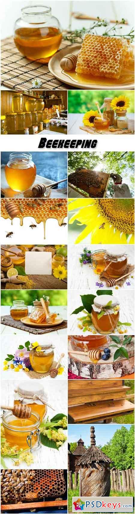 Beekeeping, fresh honey