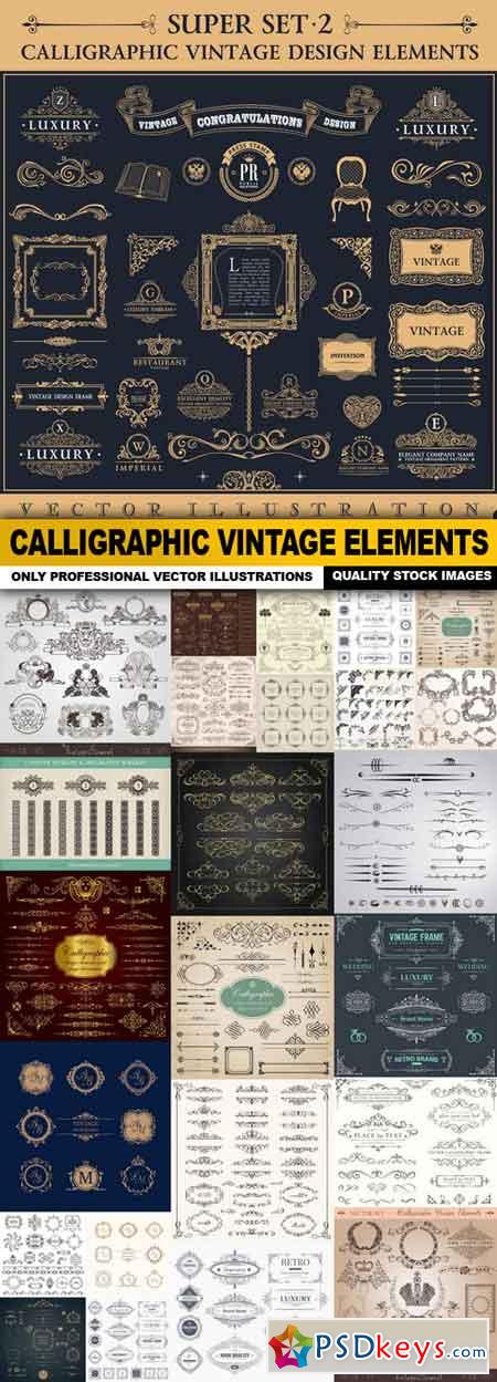 Calligraphic Vintage Elements - 25 Vector