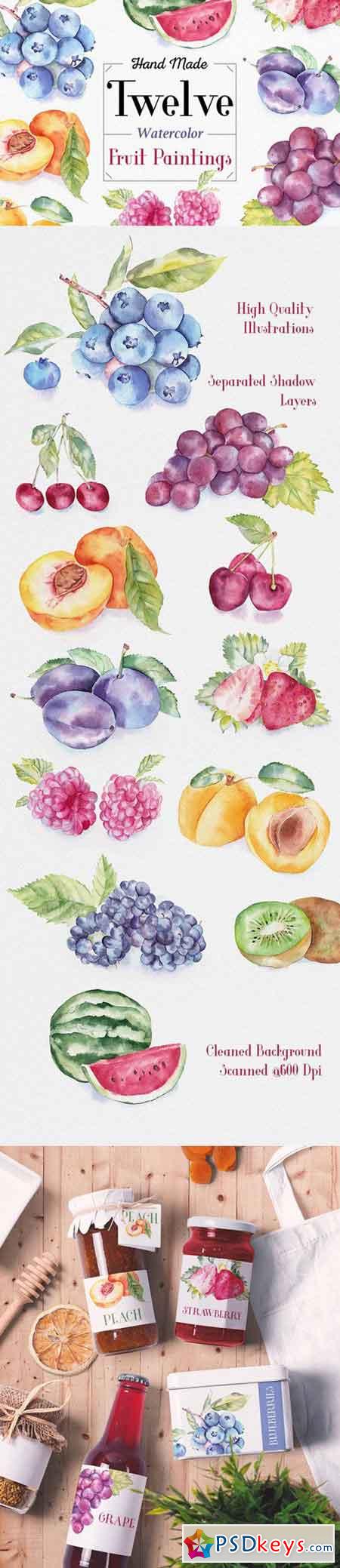 Fruit Watercolor Illustrations 334077