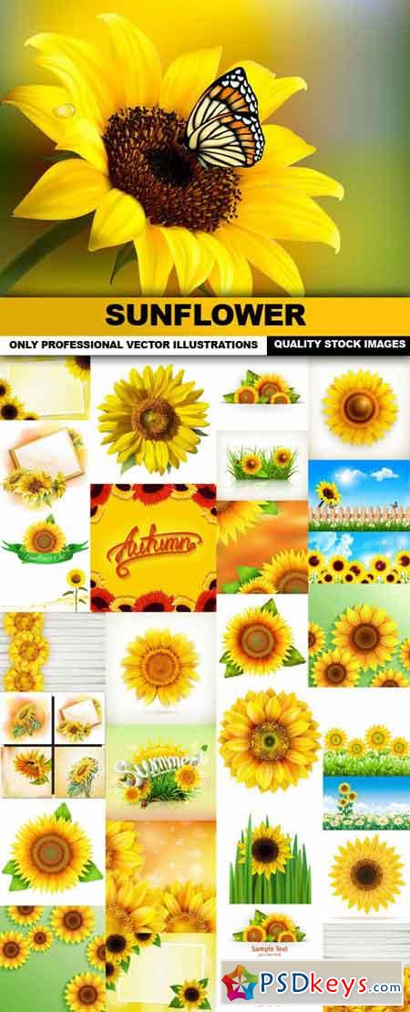 Sunflower , Helianthus - 30 Vector