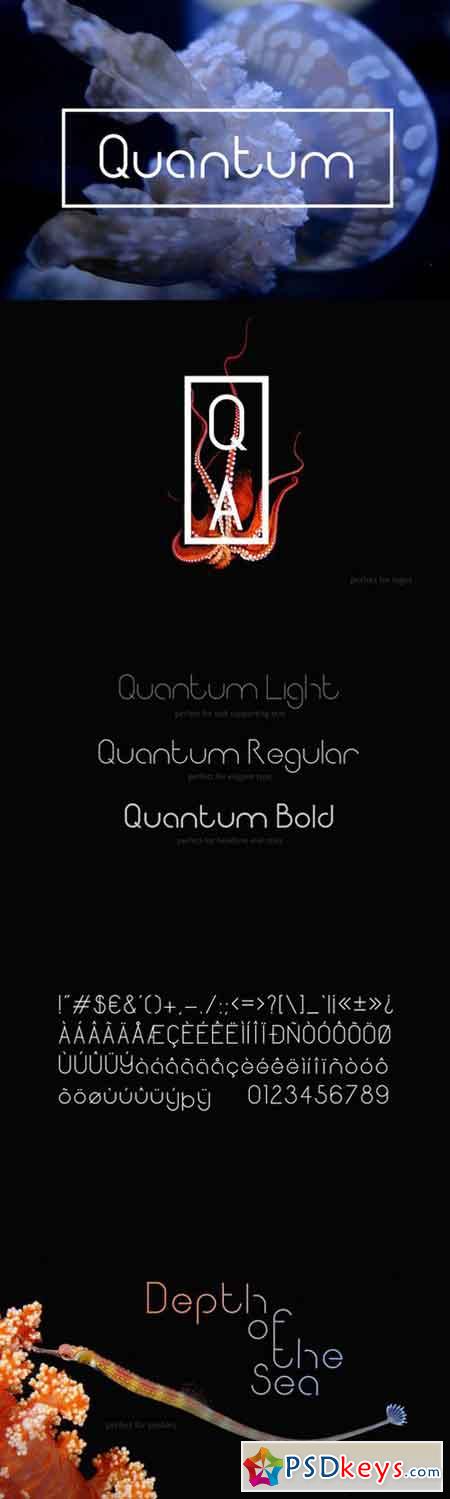 Quantum Sans Serif Fonts 664611