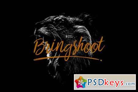 Bringshoot Font