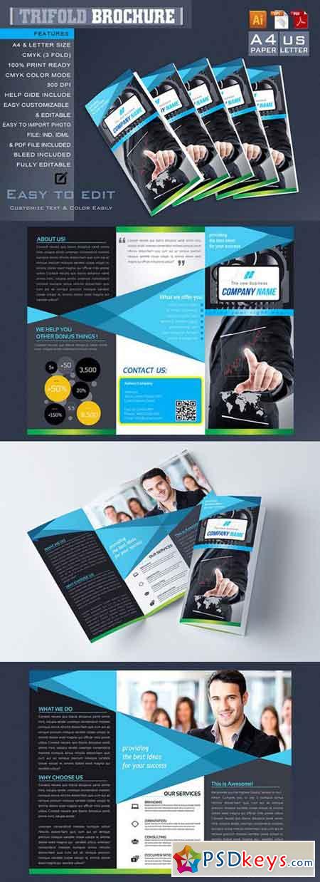 Trifold Brochure 668871