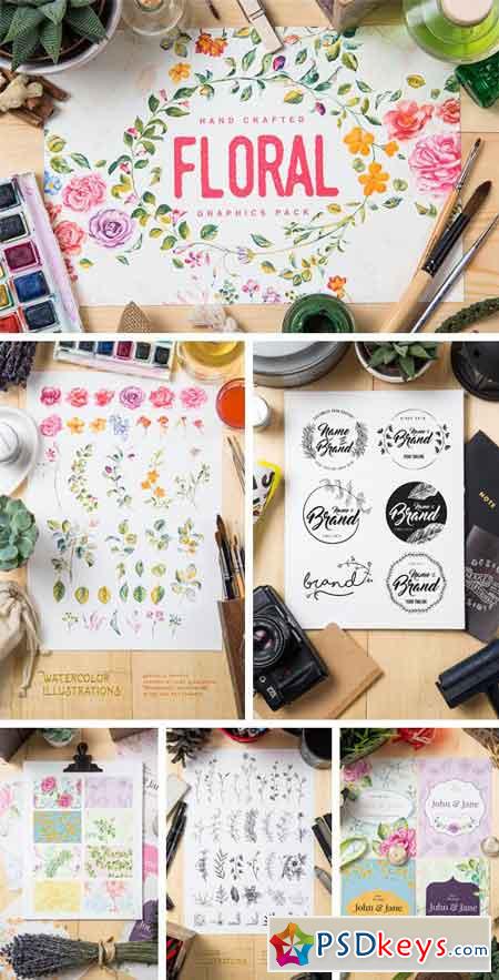 Floral Graphics Pack 646561