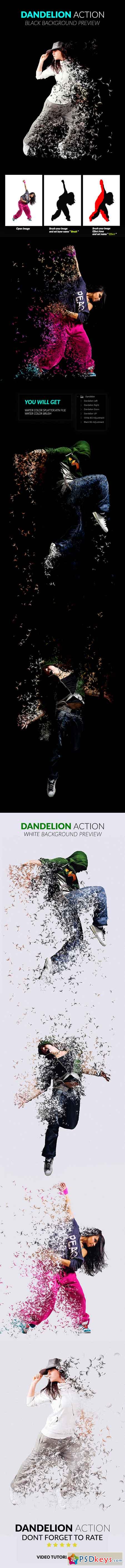 Dandelion Action 15940725