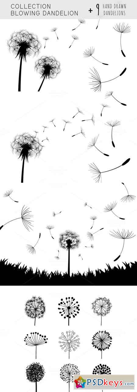 Collection blowing Dandelion 670573