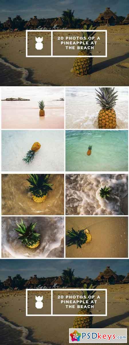 Pineapple's Day at the Beach 474113