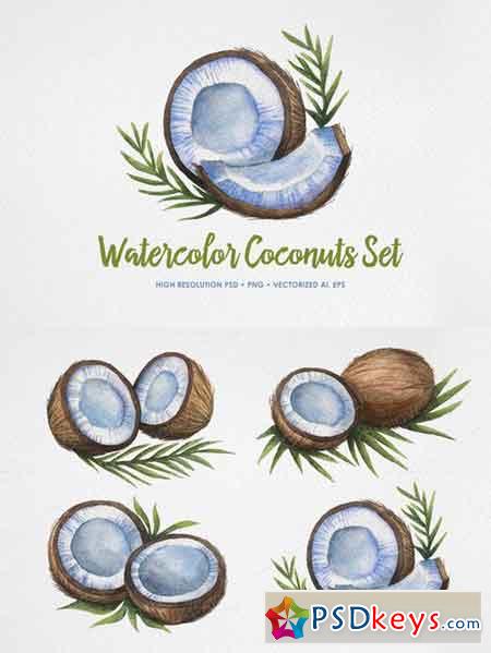 Watercolor Coconuts Set 404456