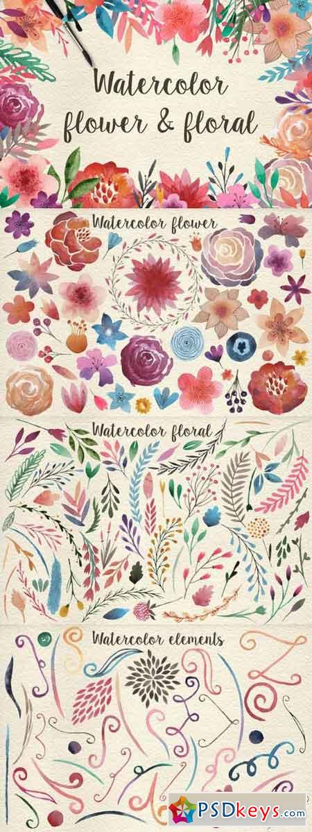159 Watercolor flowers & florals 180187