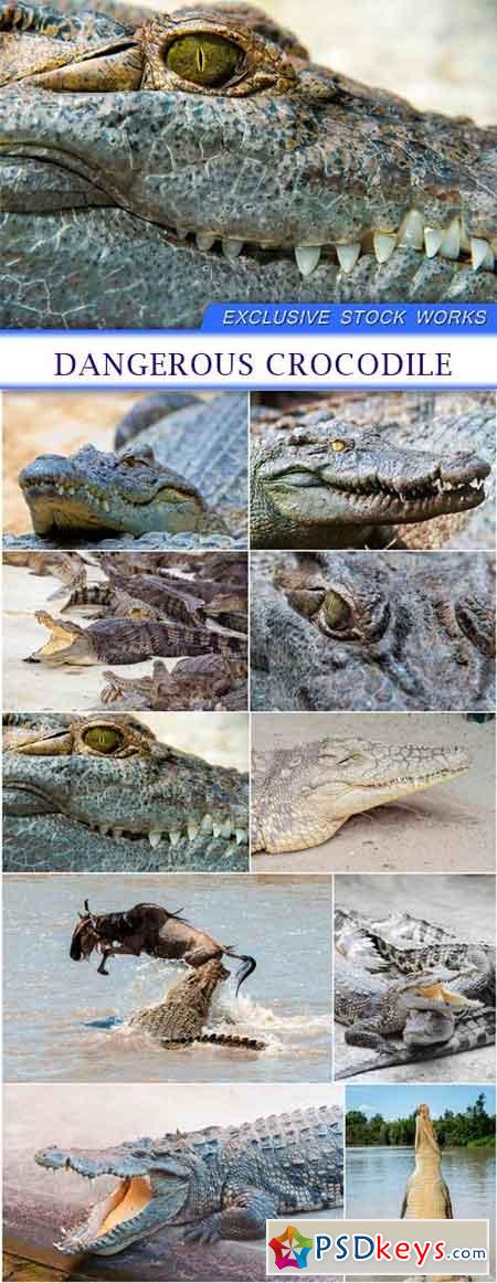 Dangerous crocodile 10x JPEG