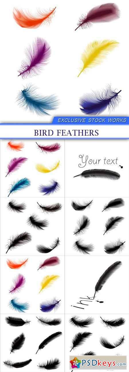 Bird feathers 8X EPS