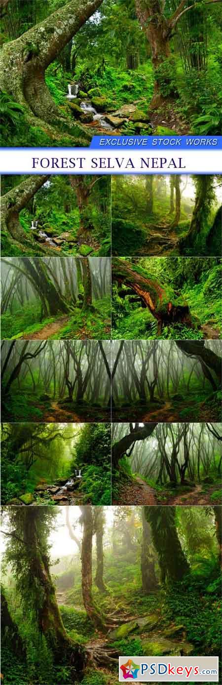 Forest Selva Nepal 9X JPEG