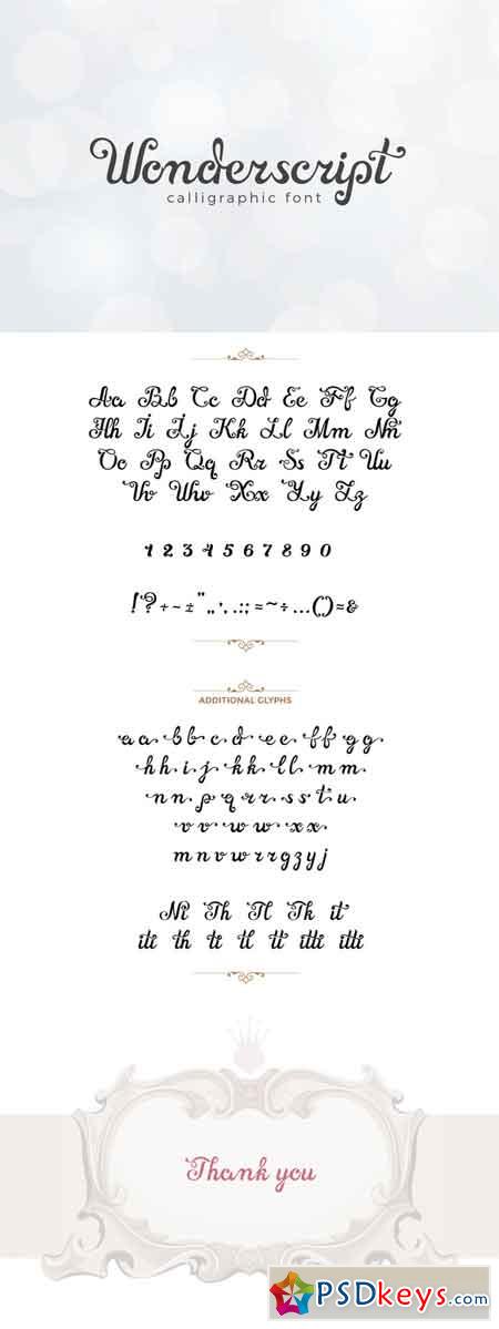 Wonderscript Calligraphic Font 684073