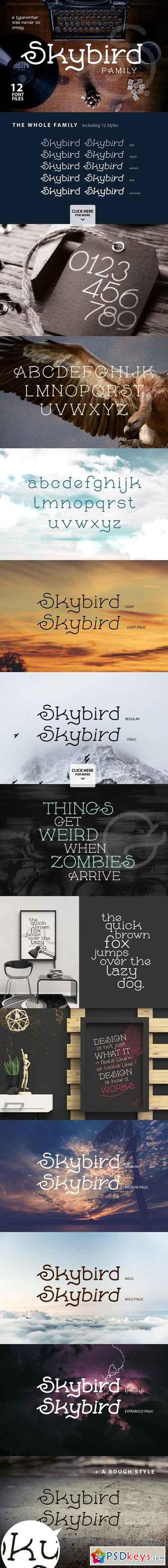 Skybird Font Family 697675