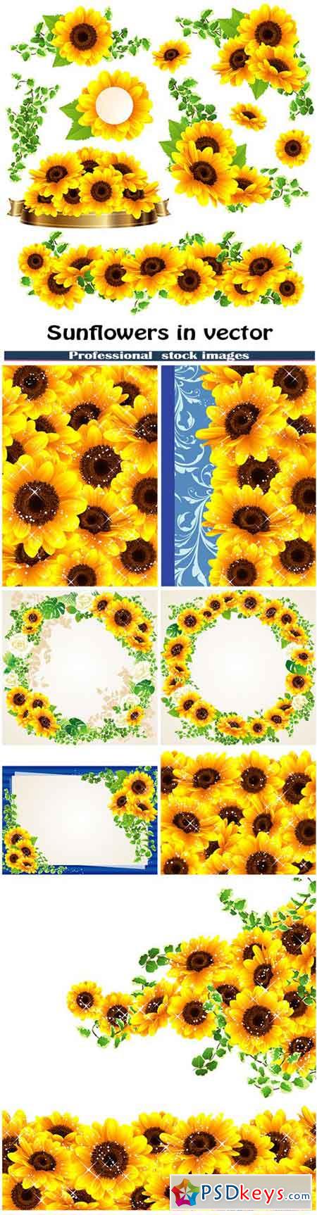 Sunflowers in vector