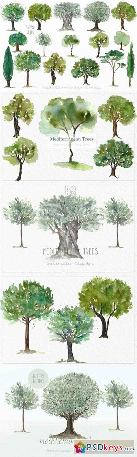 Trees mediterranean clip art 548451