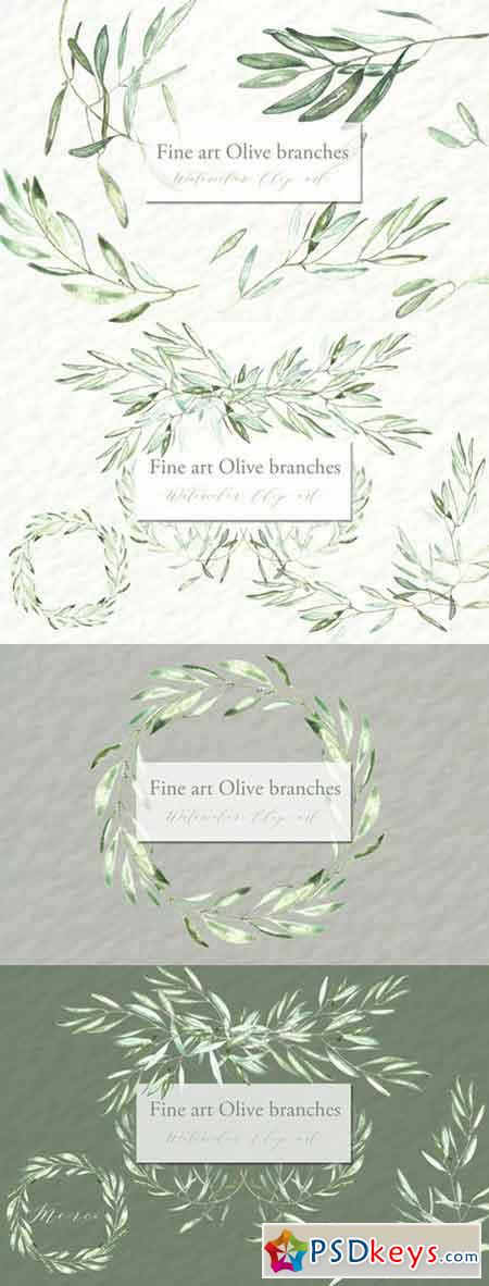 Olive branches. Watercolor clipart. 445664