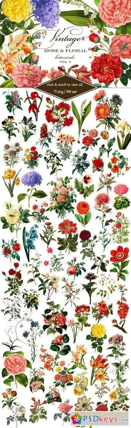 Vintage Rose & Floral Botanicals 3 532741