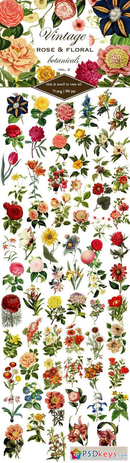 Vintage Rose & Floral Botanicals 2 517276