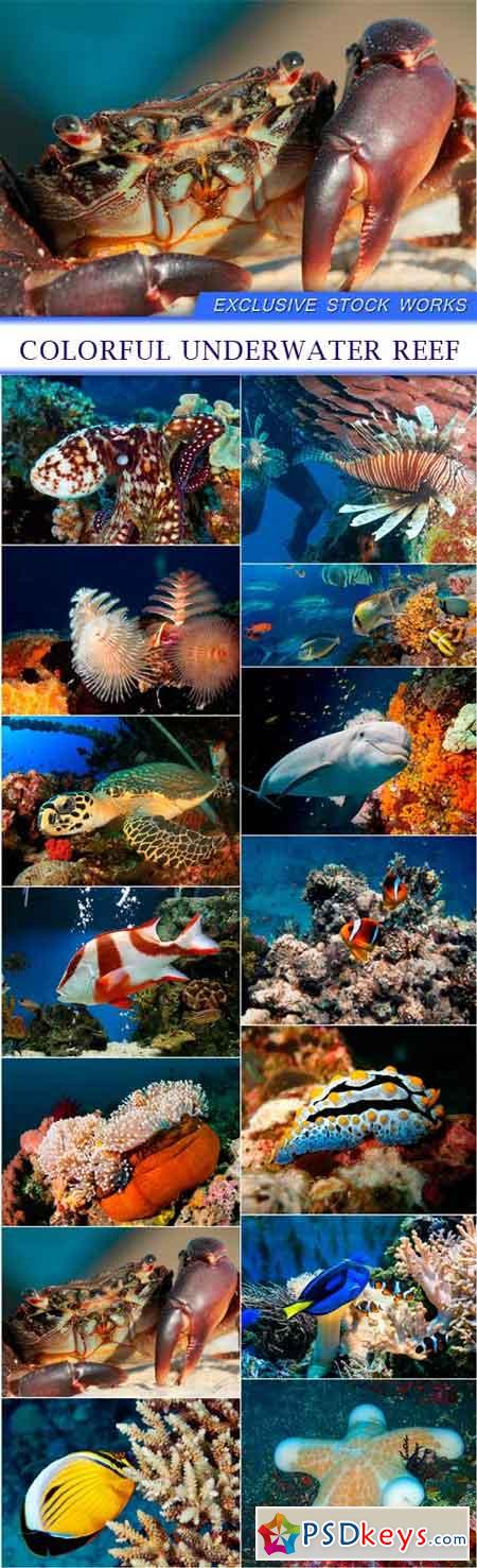 Colorful underwater reef 14X JPEG