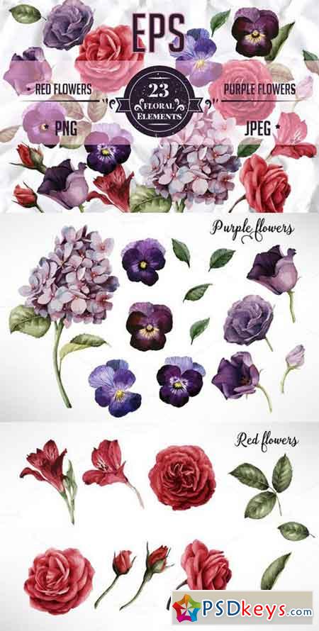 EPS Red & Purple flowers 714329