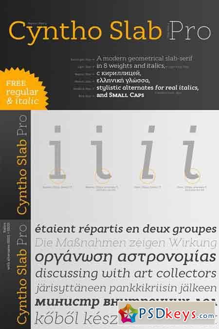 Cyntho Slab Pro Font Family $280