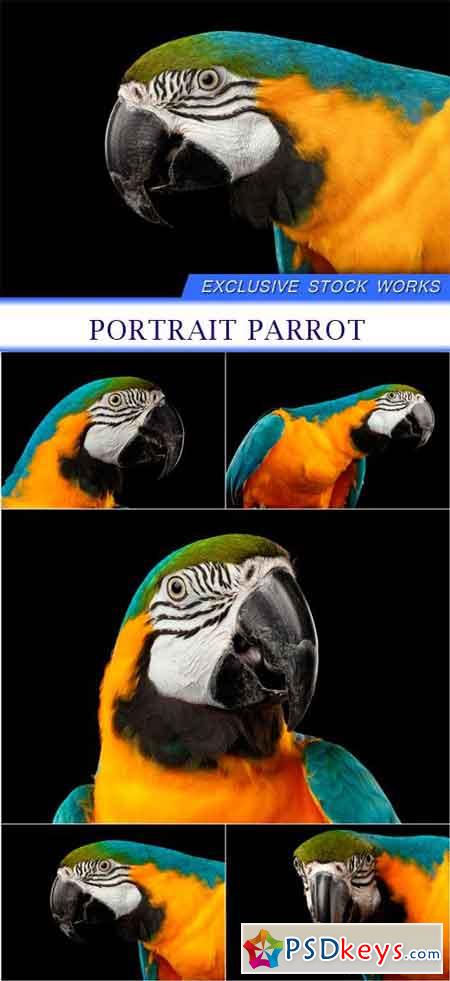 Portrait Parrot 5X JPEG