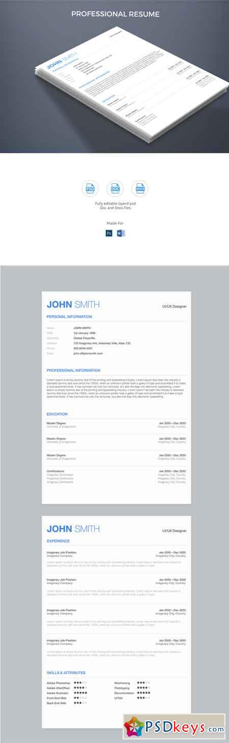 Professional Resume Template 35006