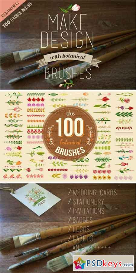 100 Colorful Botanical Brushes 53890