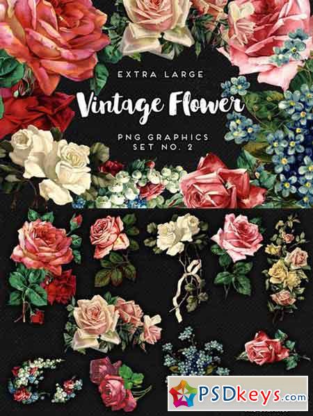 Large Vintage Flower Graphics No. 2 637682