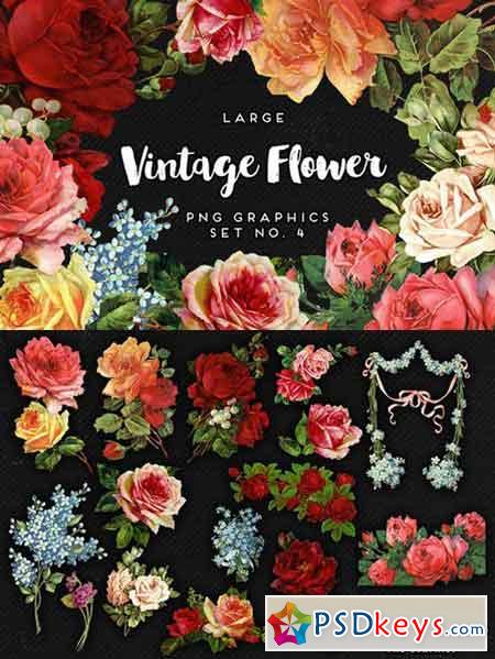 Large Vintage Flower Graphics No. 4 637764