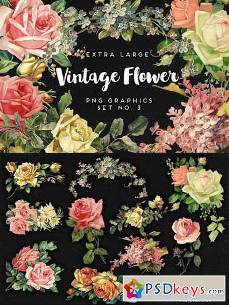 Large Vintage Flower Graphics No. 3 637716