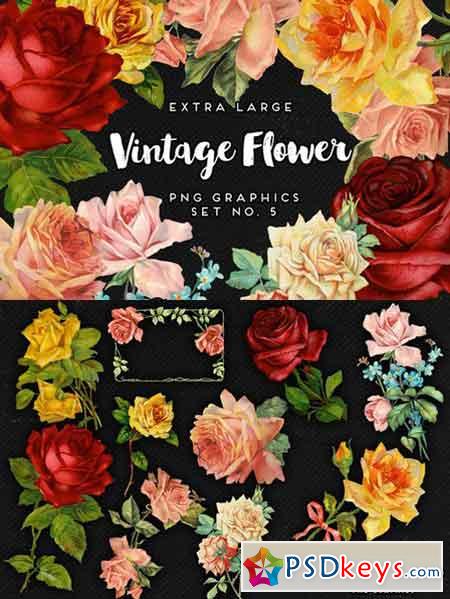 Large Vintage Flower Graphics No. 5 637809