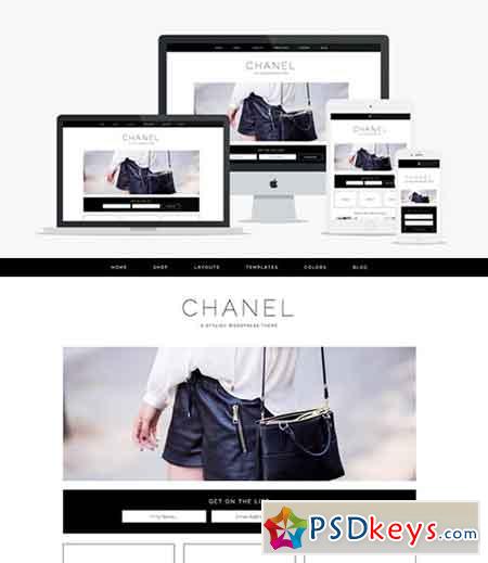 Chanel v1.0 - Wordpress Theme 366057