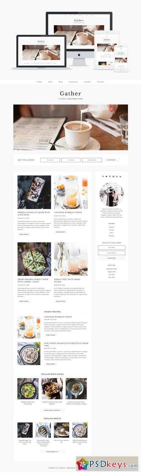 wordpress theme download torrent