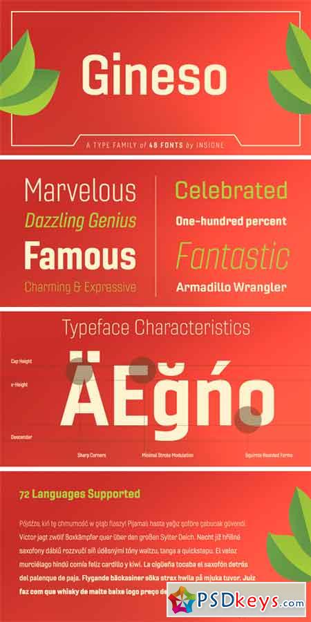 Gineso Font Family