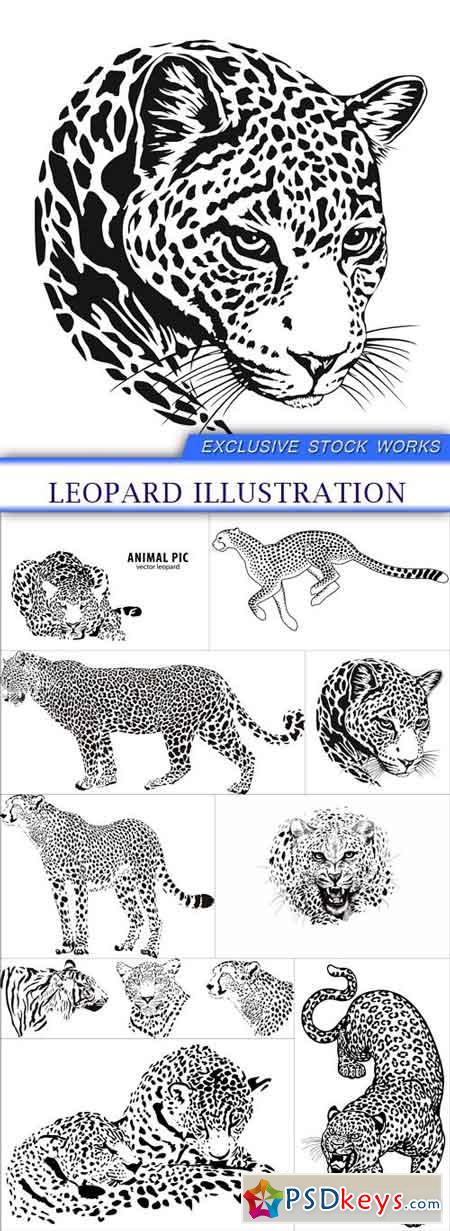 Leopard illustration 9X EPS