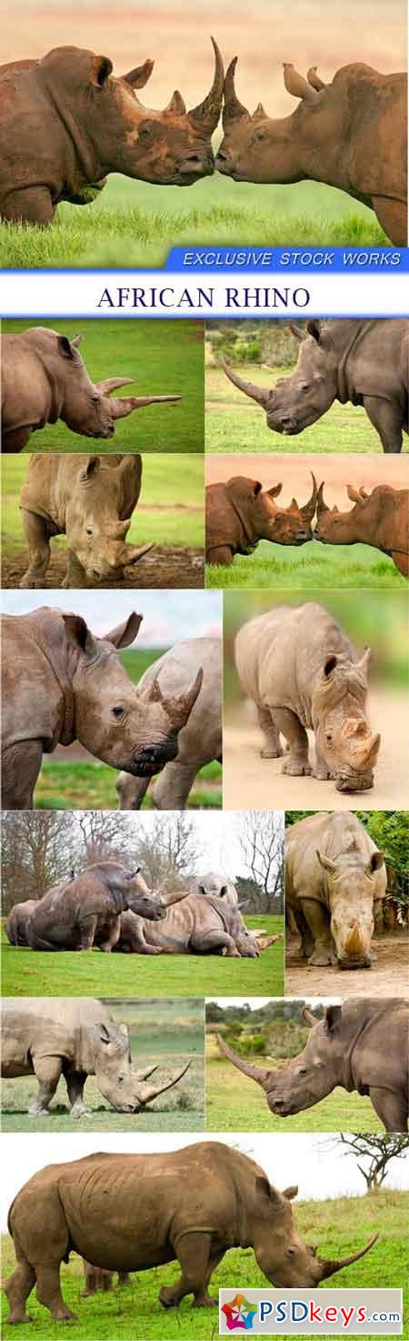 African rhino 11X JPEG