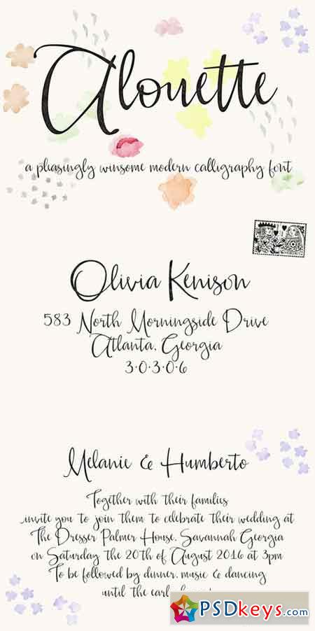 Alouette Modern Calligraphy Font 697983