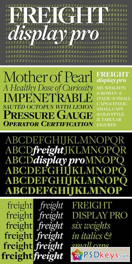 Freight Display Pro Font Family