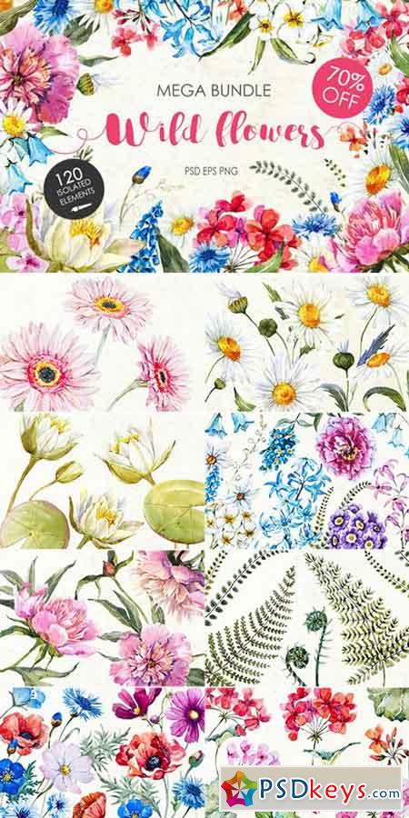 Watercolor bundle WIld flowers 770129