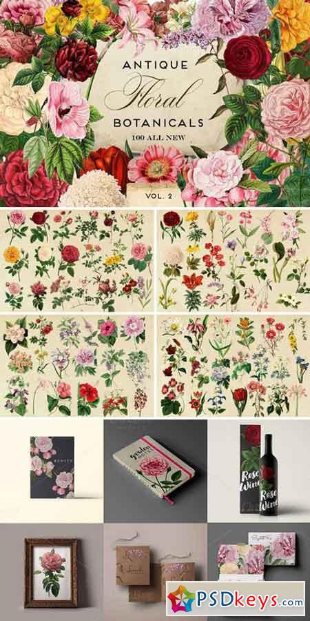 Antique Botanical Floral Graphics 2 787405
