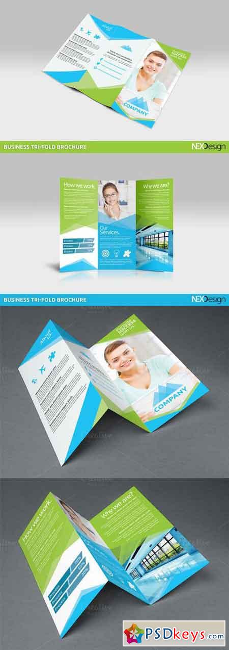 Business Tri-fold Brochures - SAR 459897